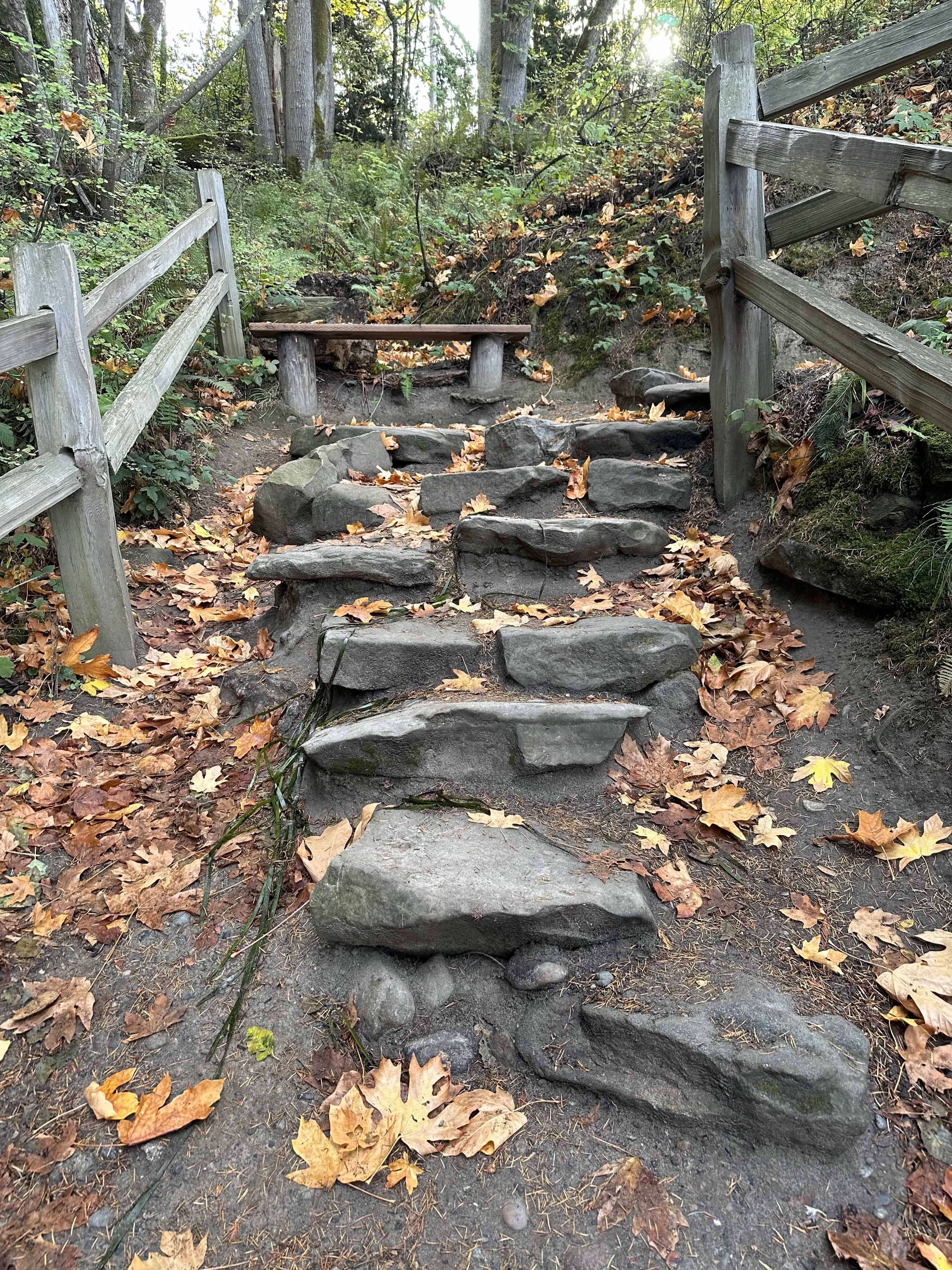 camping at larrabee state park
