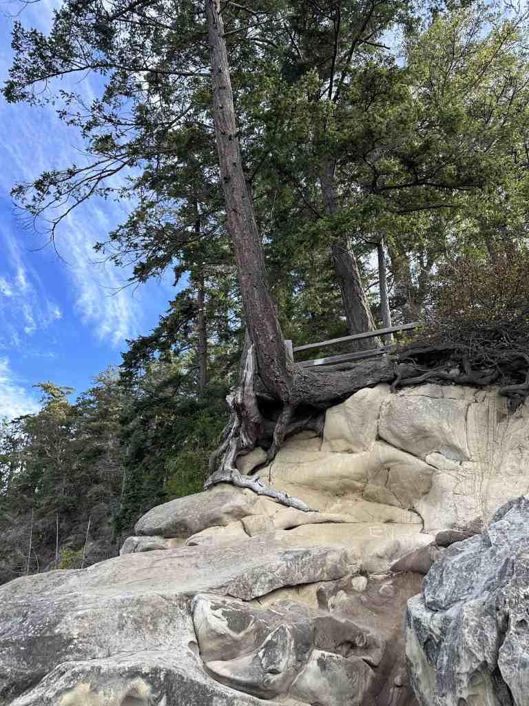 camping at larrabee state park