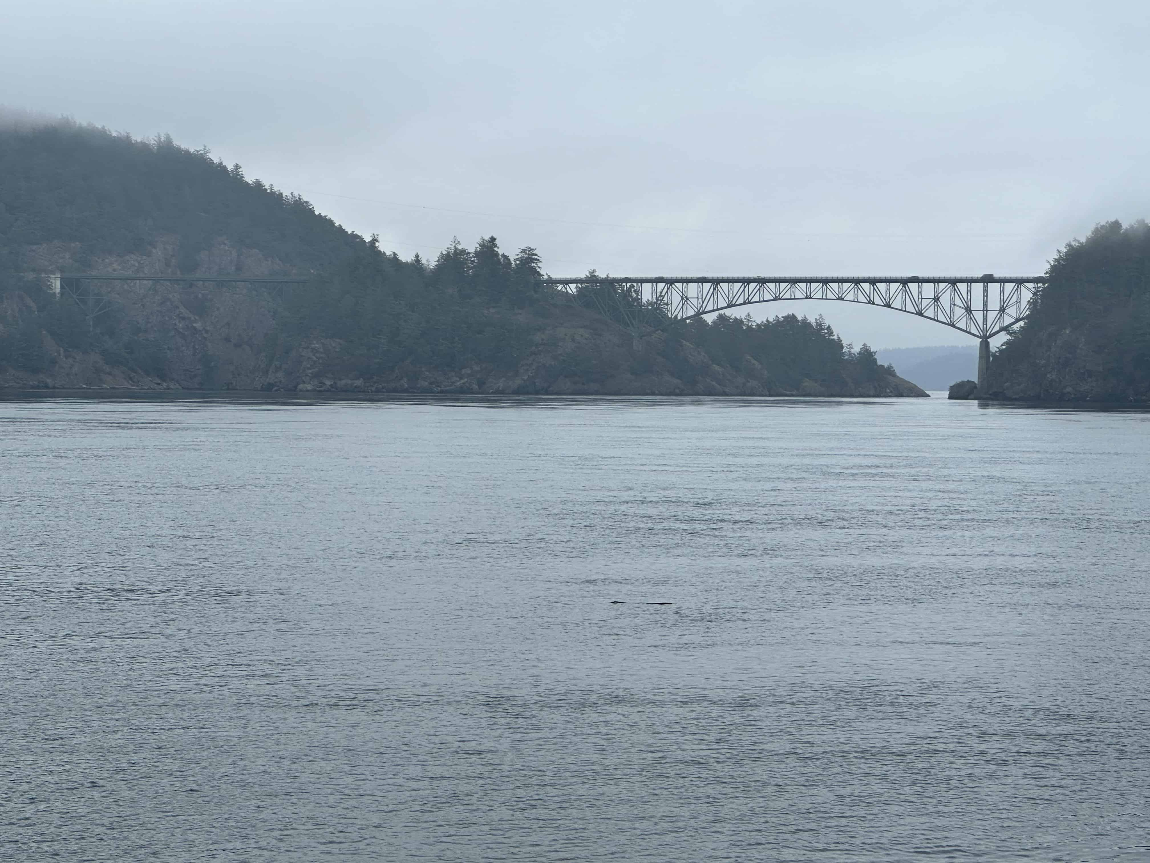 Camping at Deception Pass State Park: A Comprehensive Guide