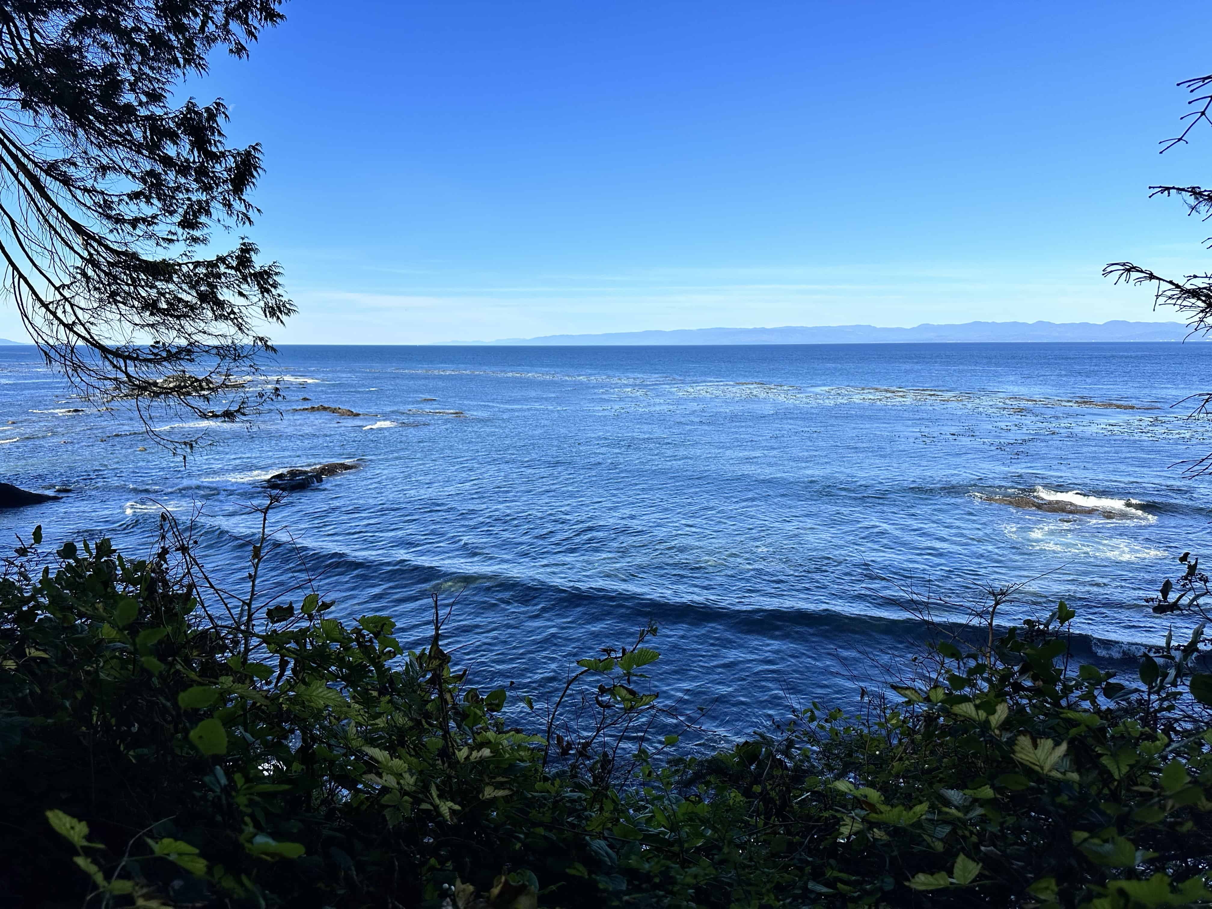 Bluff looking out to the Straight of Juan de Fuca from Campite 66.