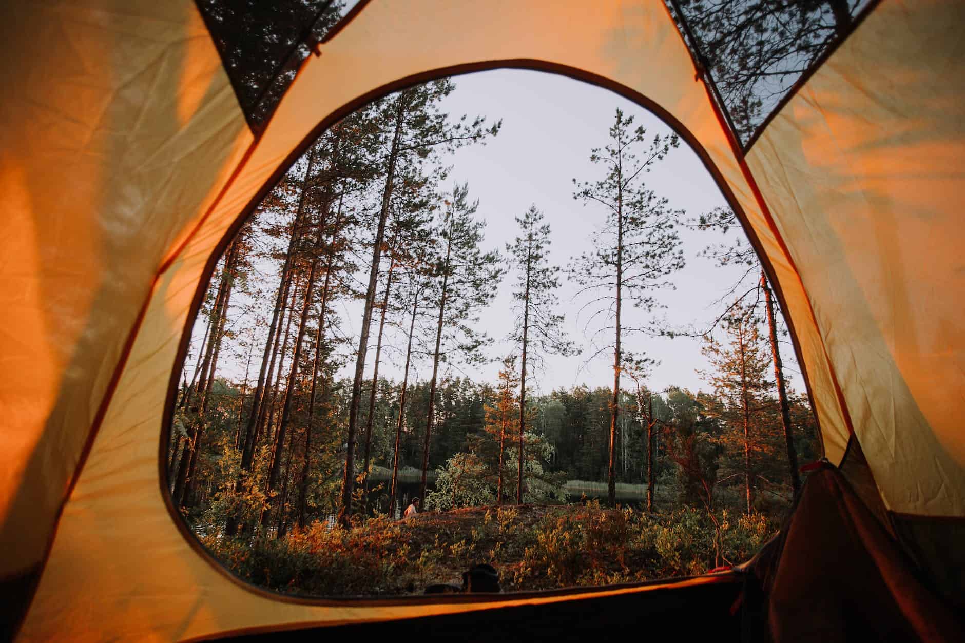 forest view inside a yellow tent