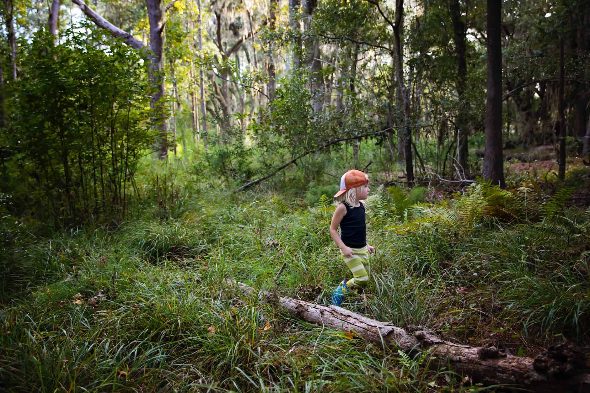 photo of kid walking in a forest
