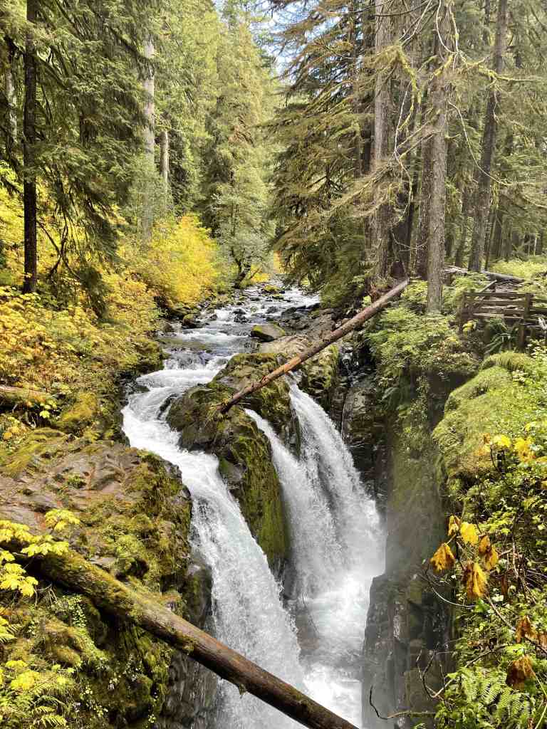 Washington Camping Trips: Essential Waterproofing Tips.
