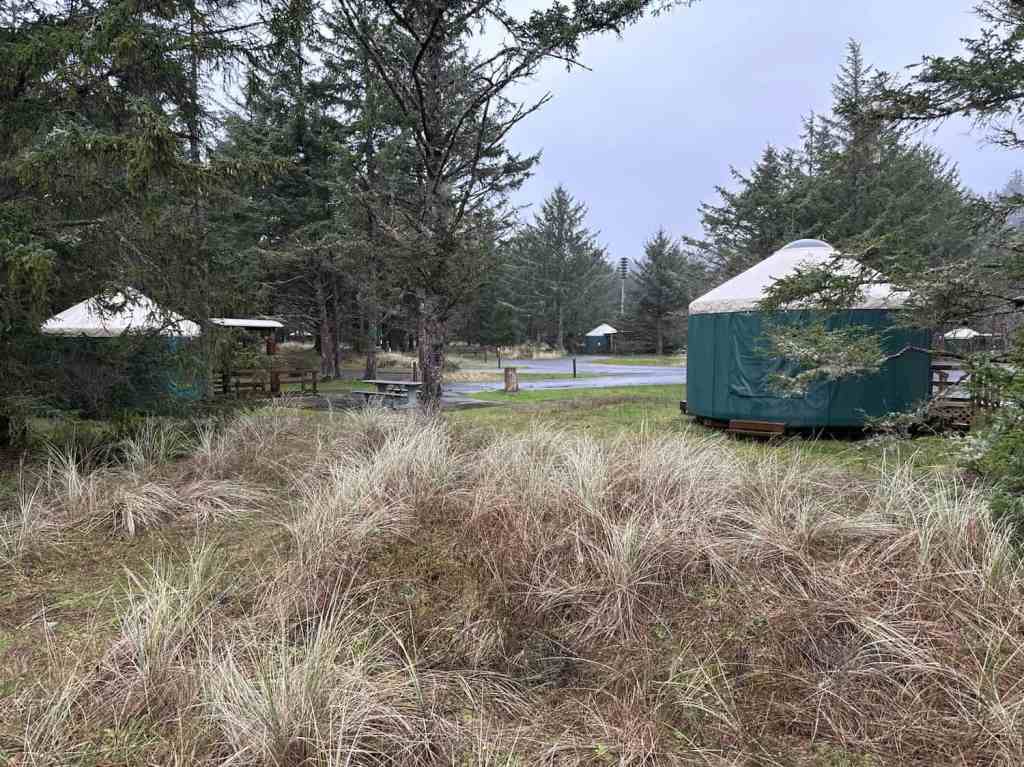 cape disappointment camping