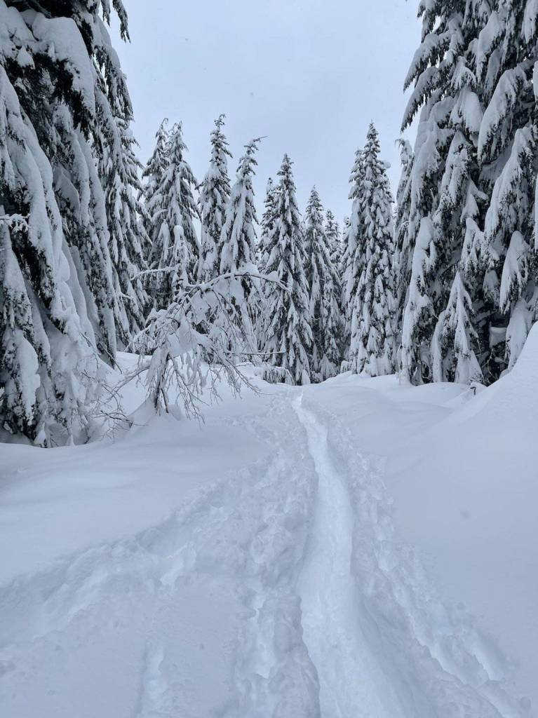 winter snowshoeing trail. winter camping with kids.