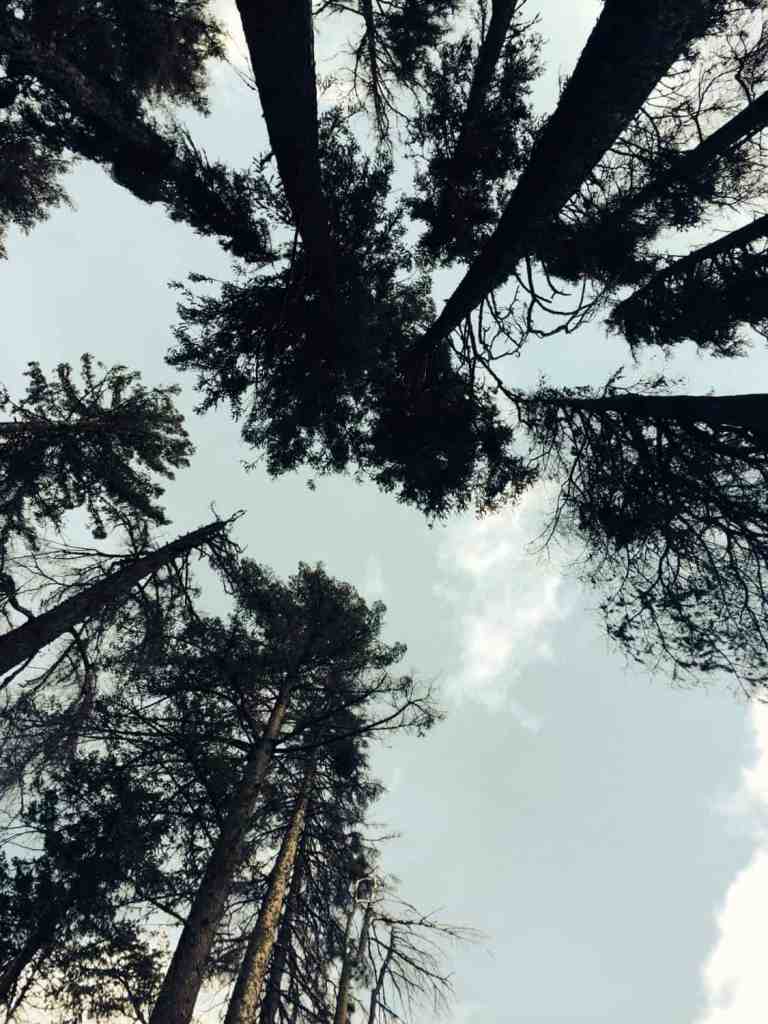 camping in leavenworth