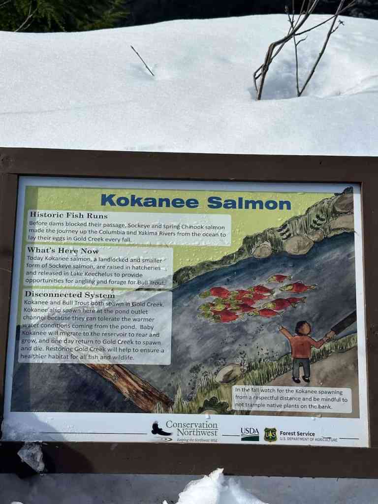 gold creek pond snowshoe