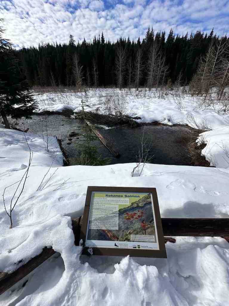 gold creek pond snowshoe