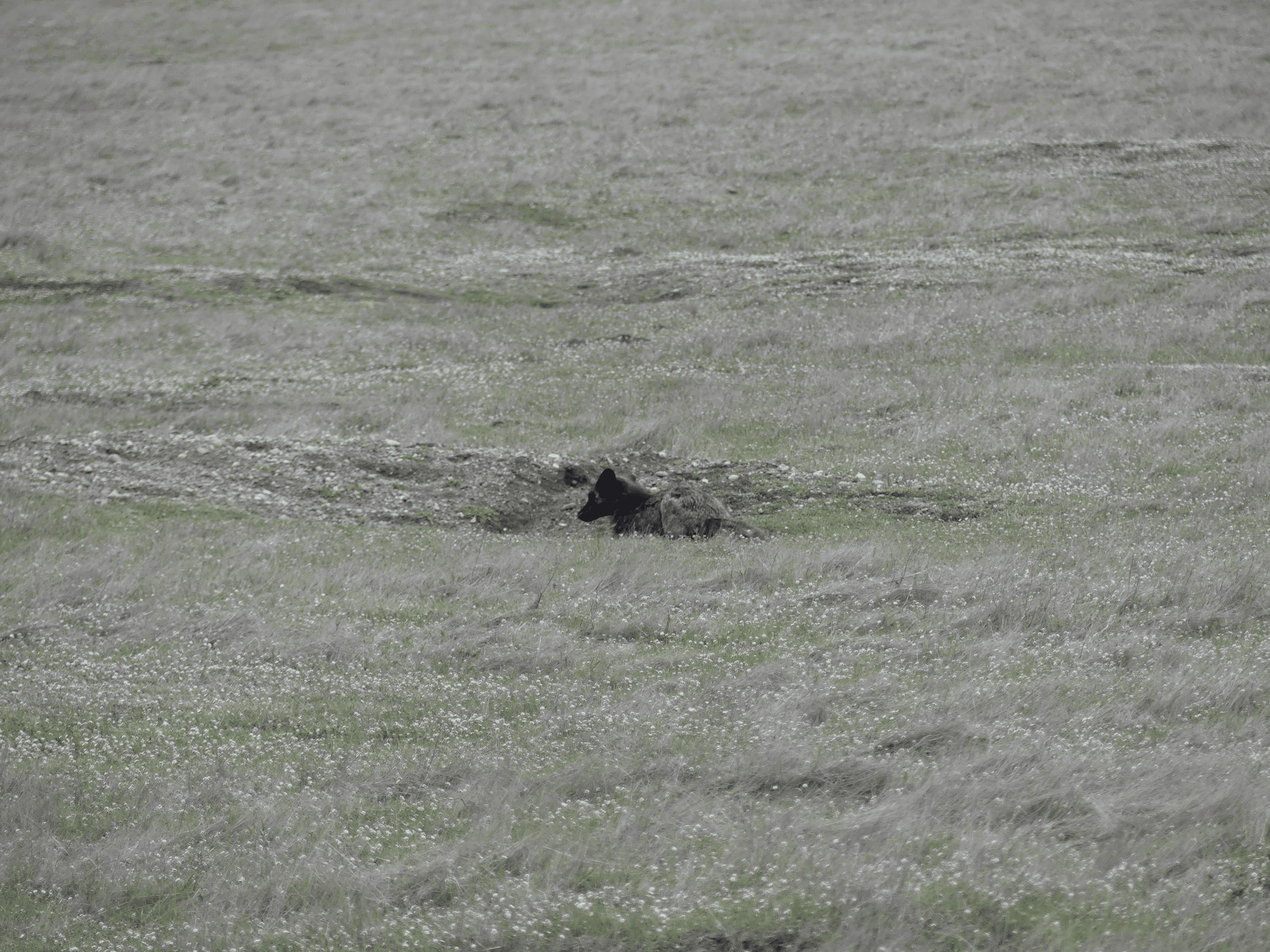 san juan county park campground
