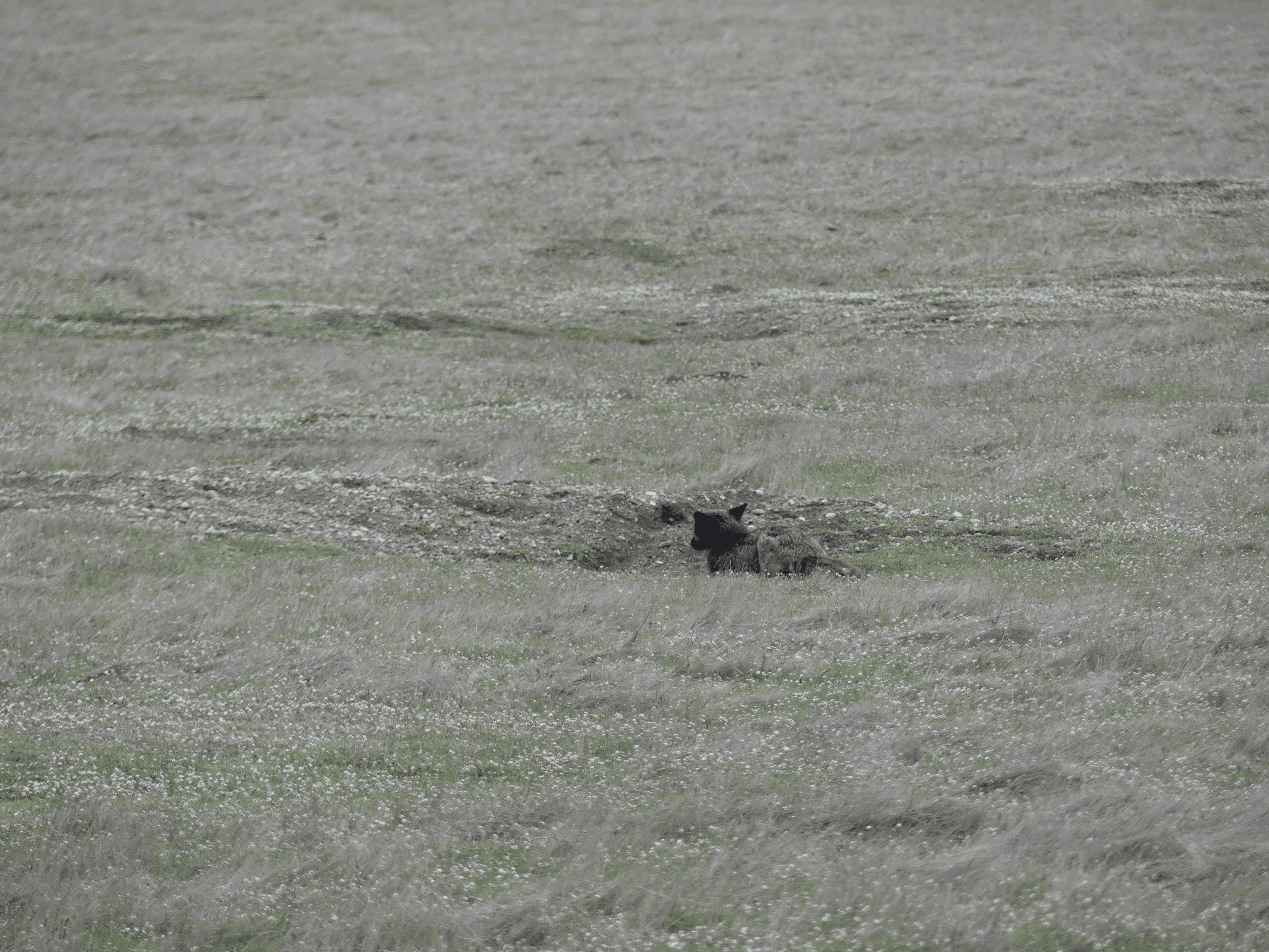 san juan county park campground