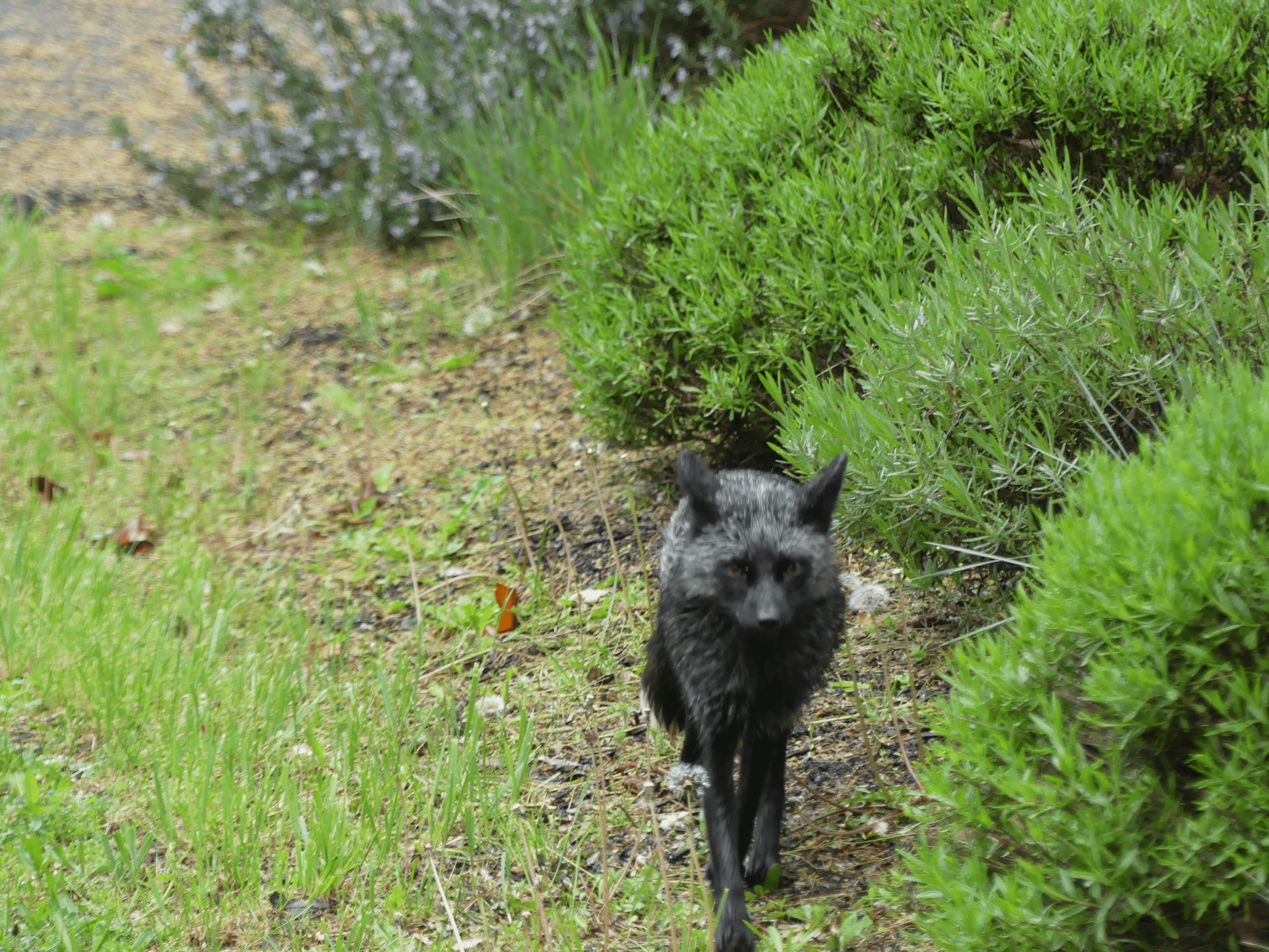 san juan county park campground