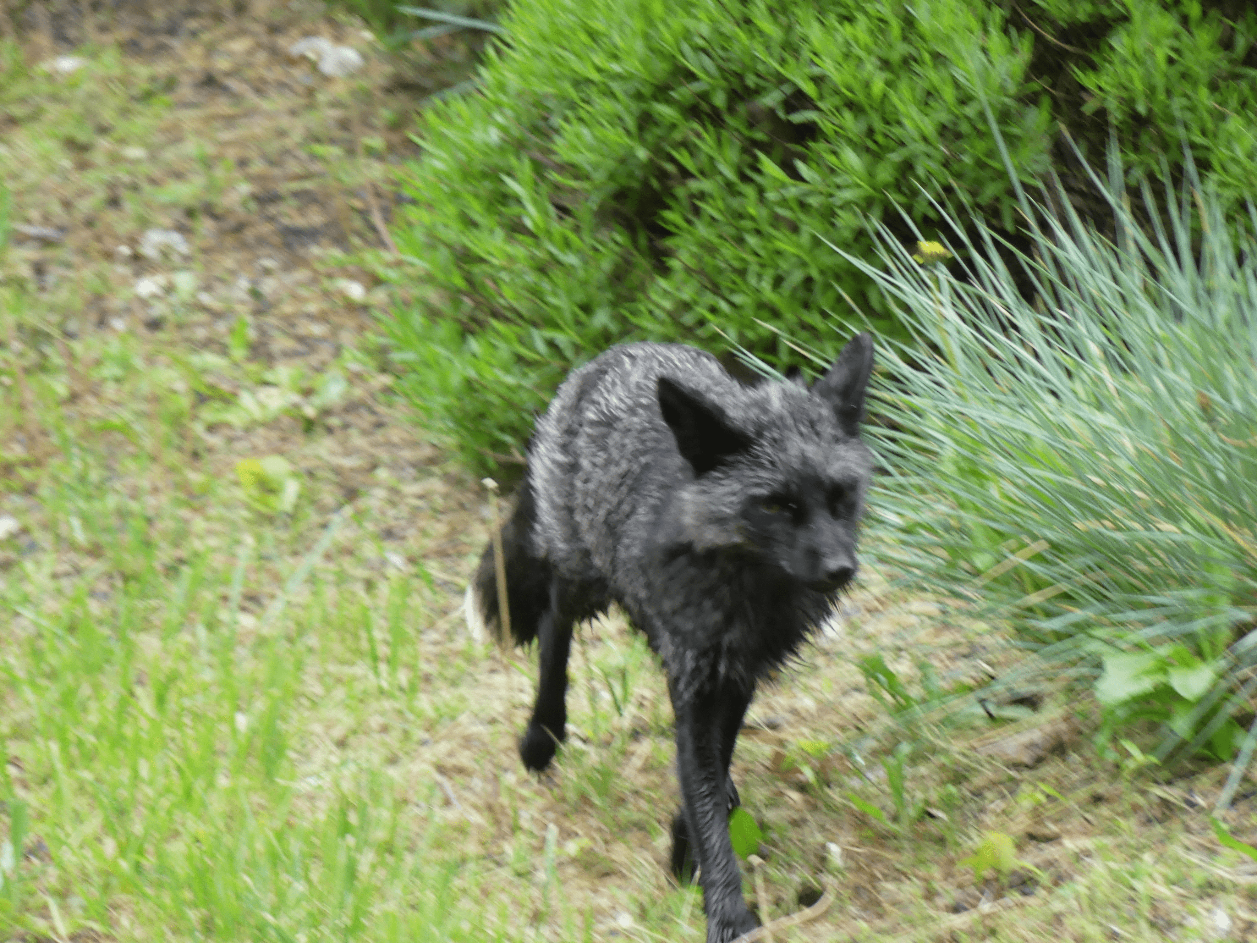 san juan county park campground