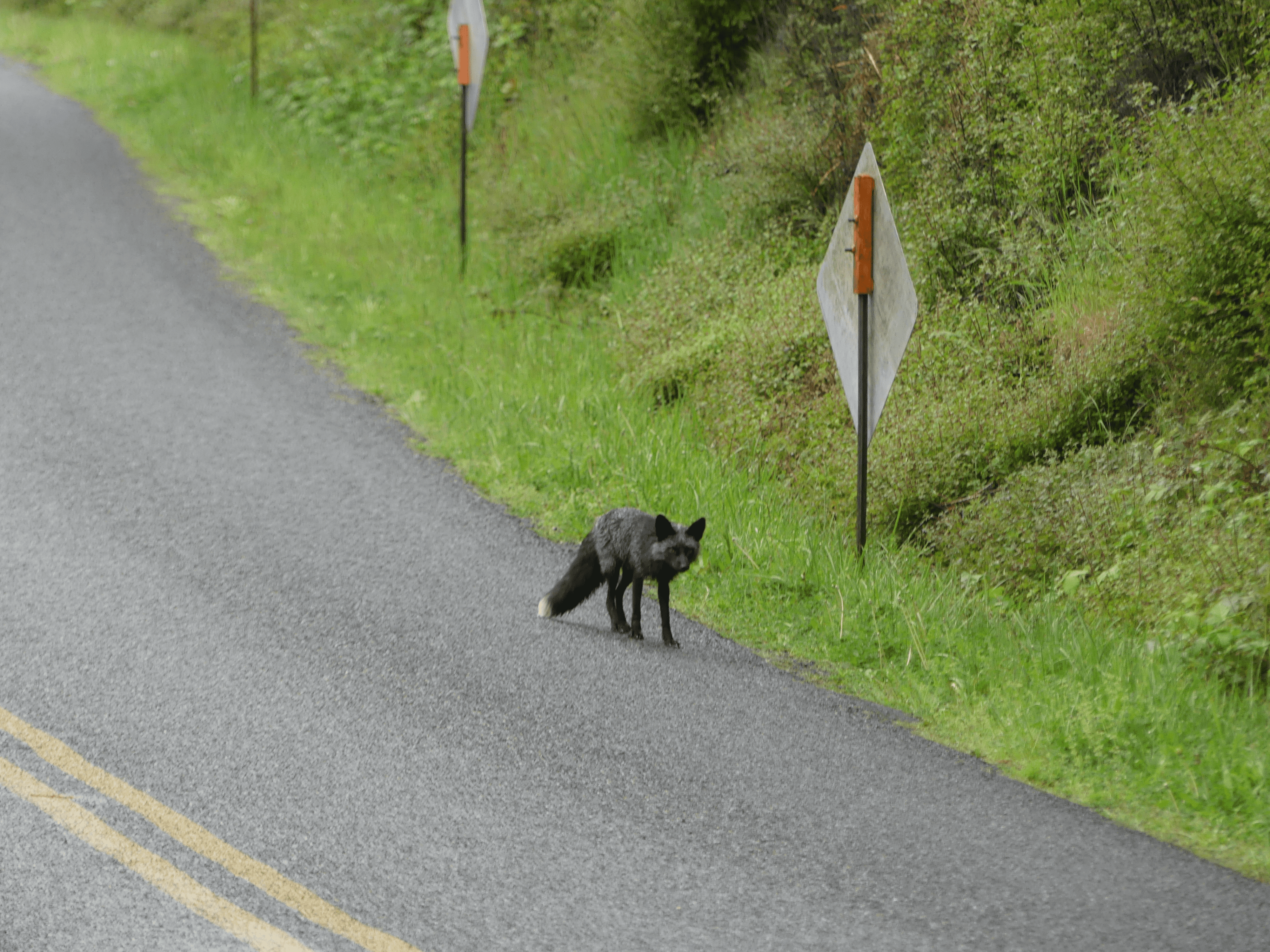 san juan county park campground