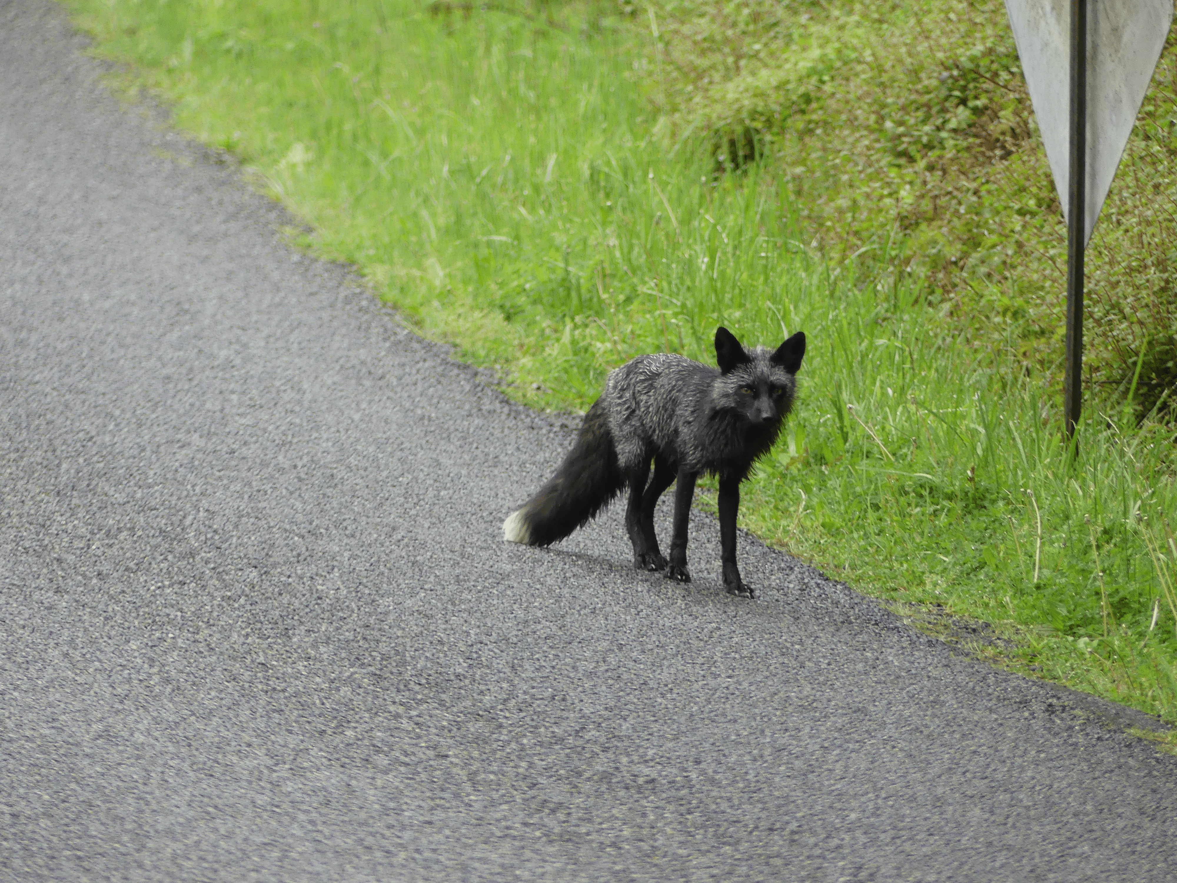 san juan county park campground