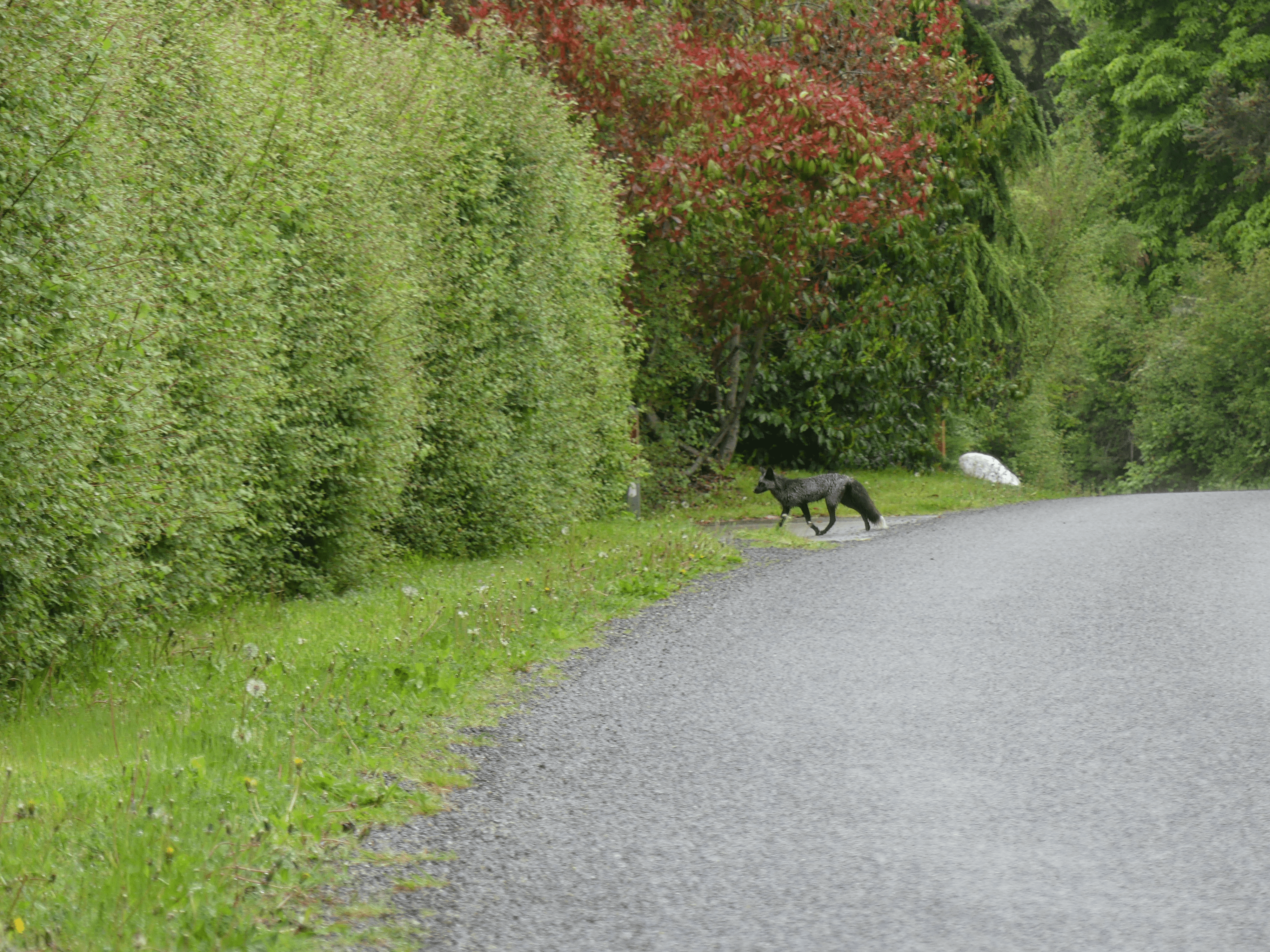 san juan county park campground