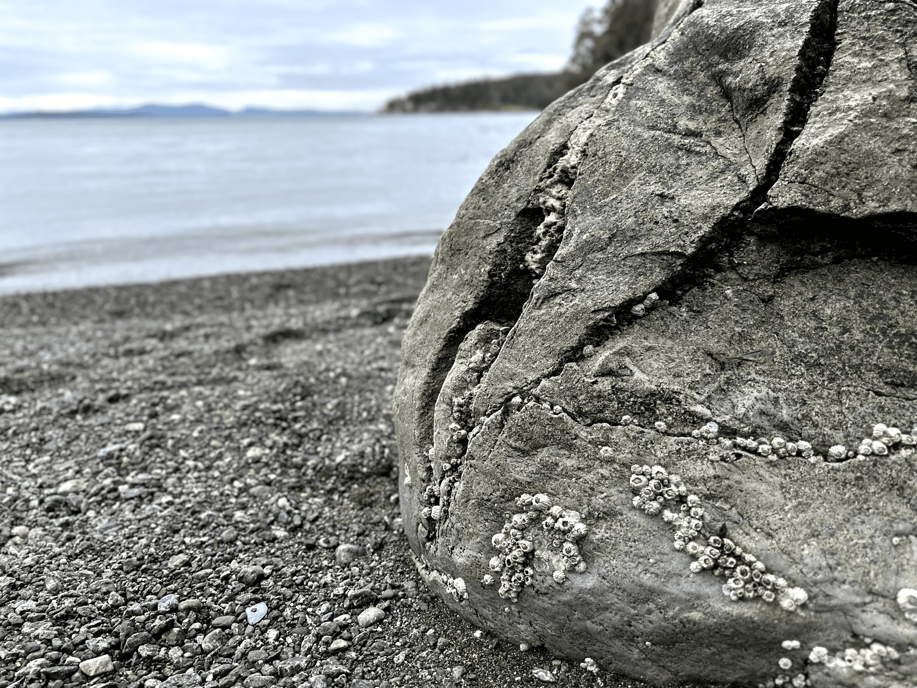 san juan county park campground