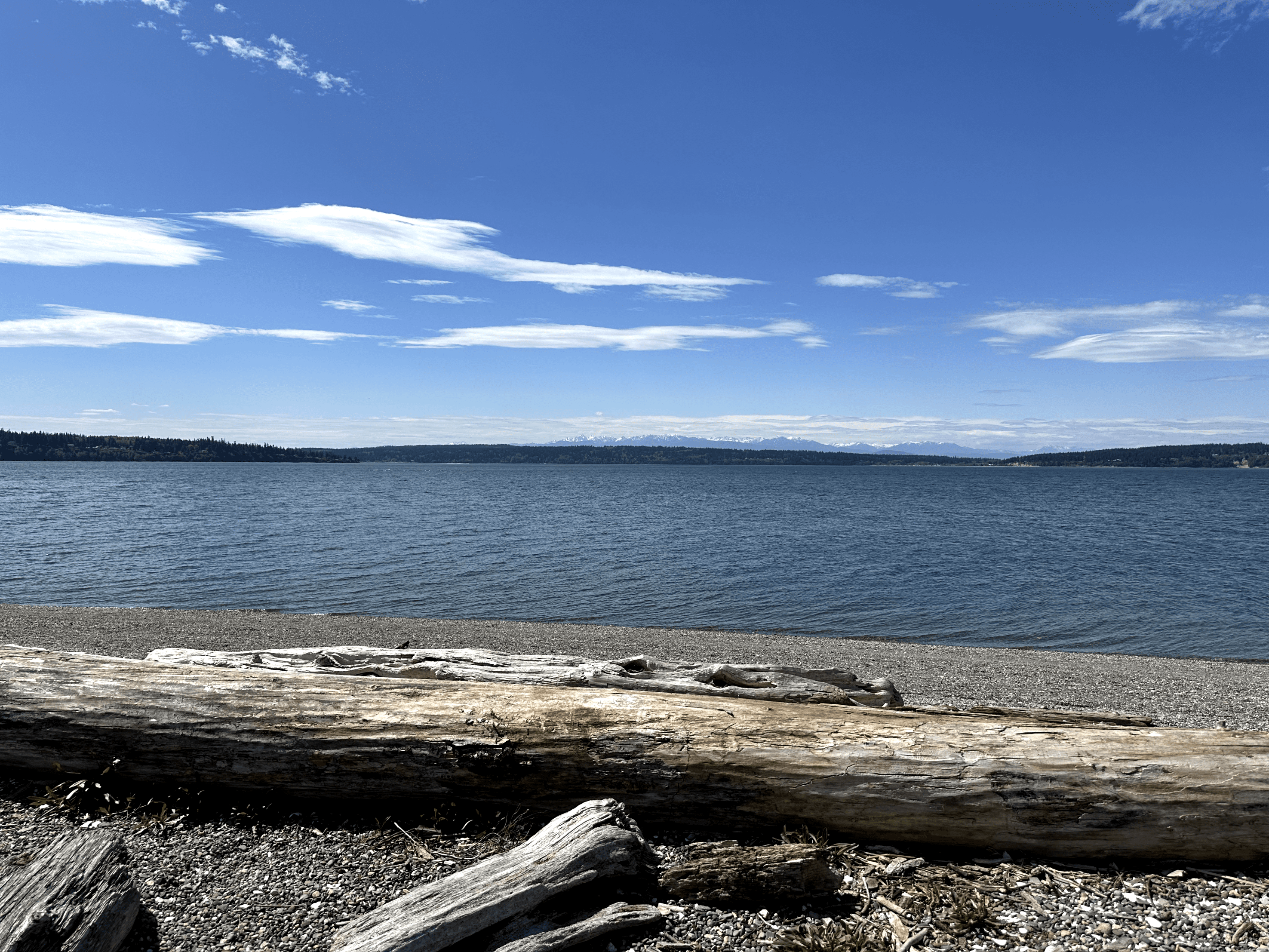 beach front view with clear blue sky and scattered clouds reflecting on water.