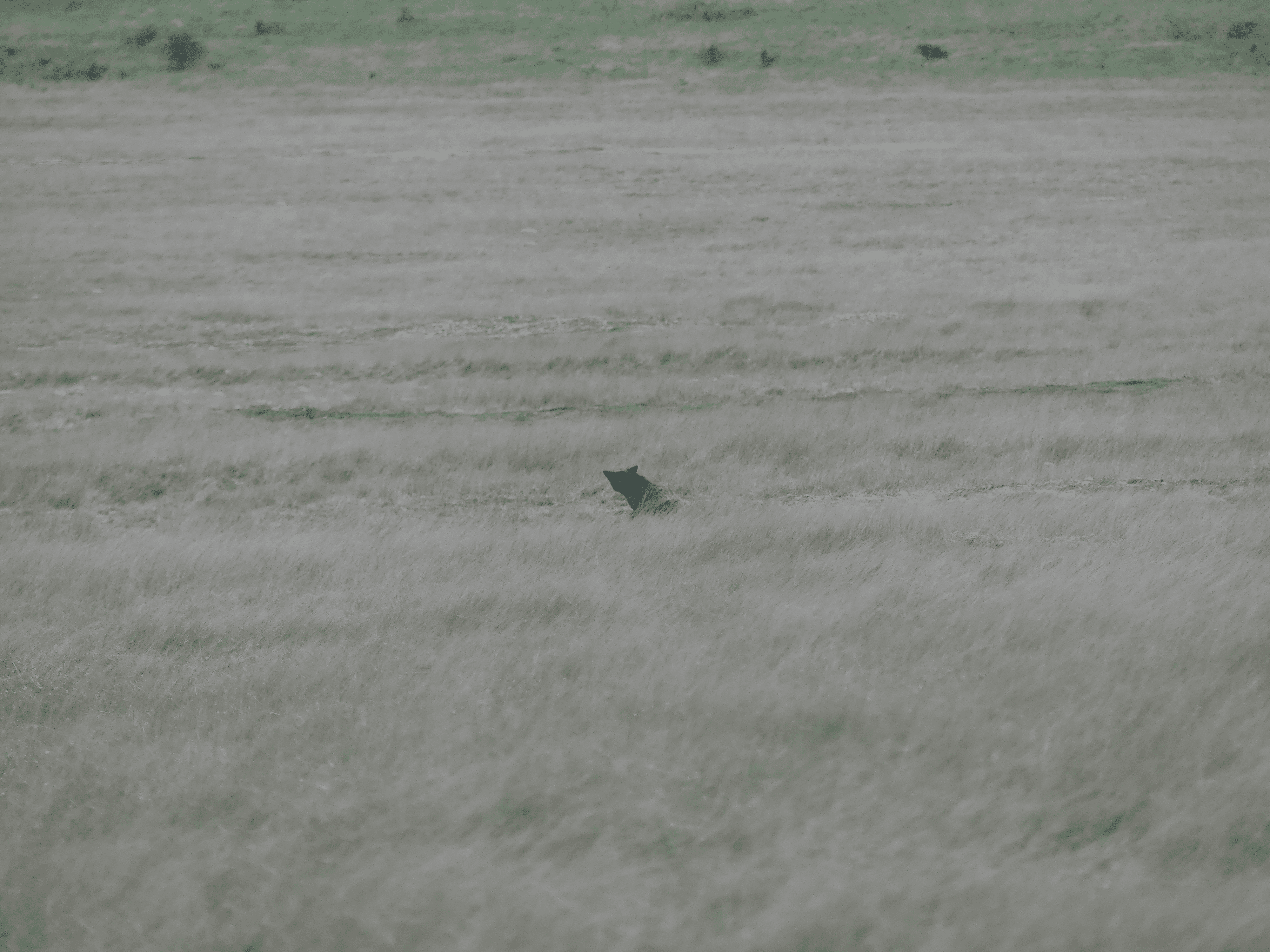 san juan county park campground