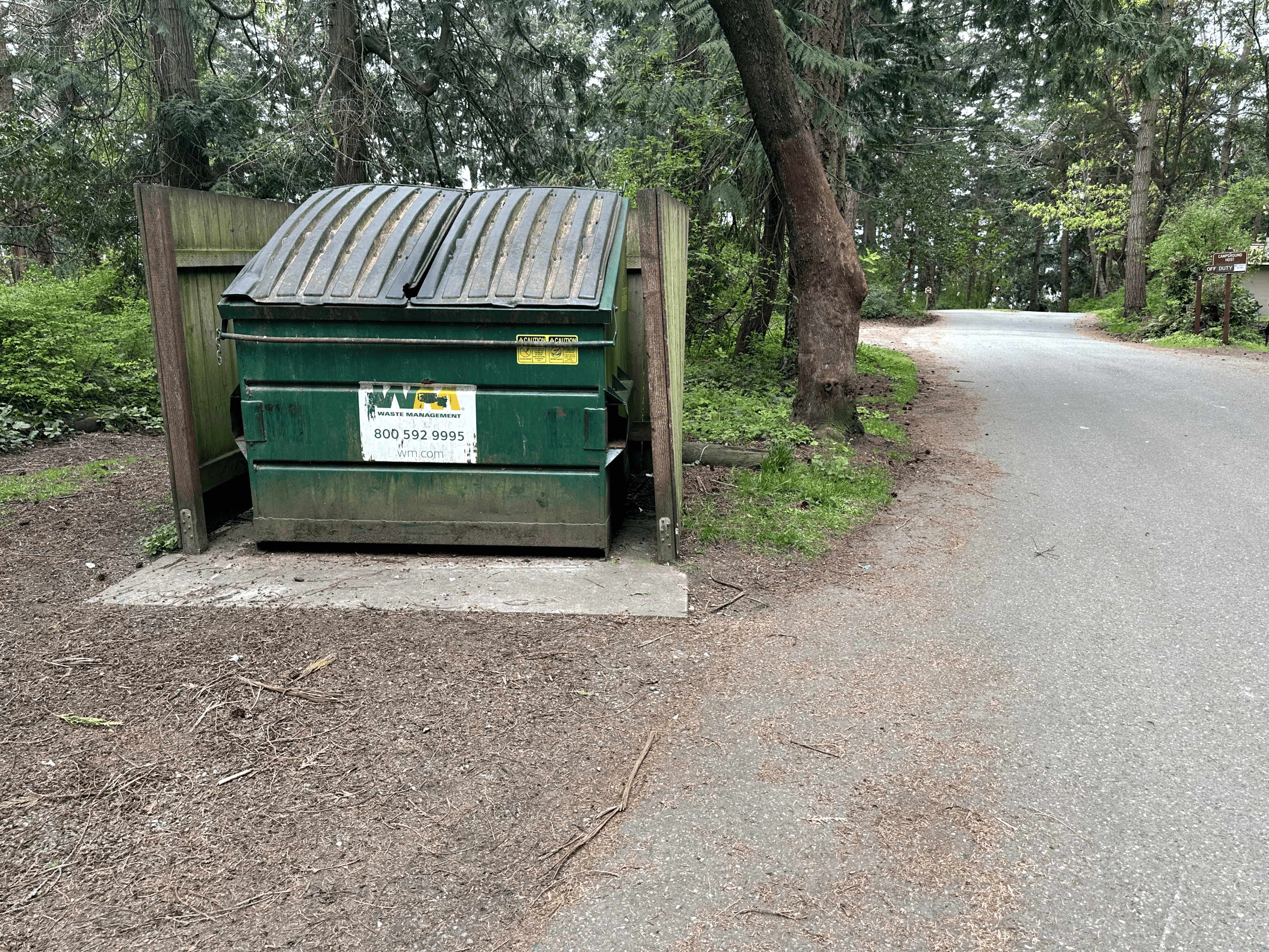 Dumpster in wooded area next to paved road, surrounded by greenery and trees.