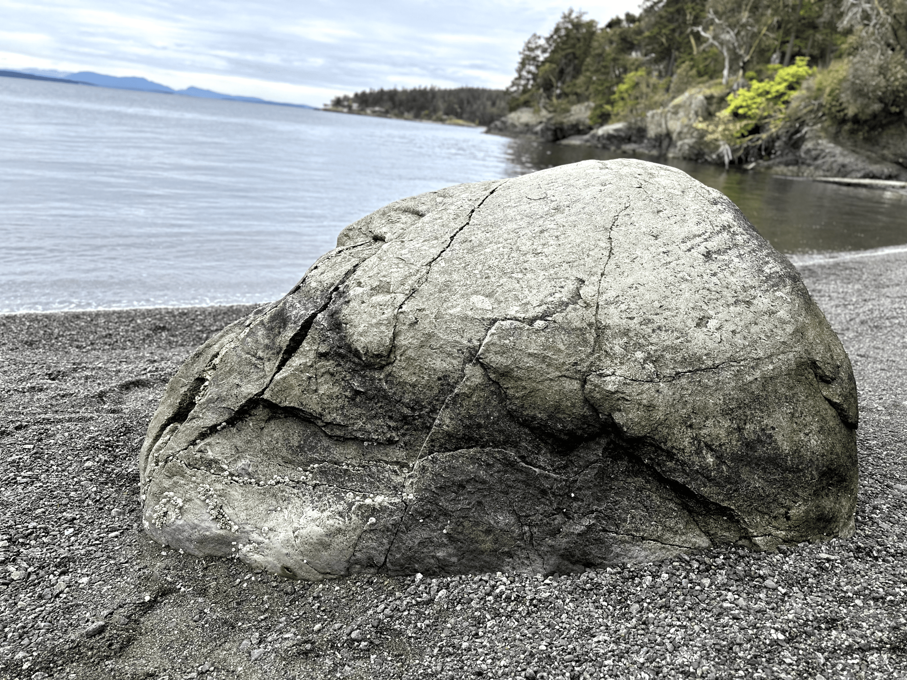 Tranquil coastal beach scene with weathered rock, calm water, and lush greenery.