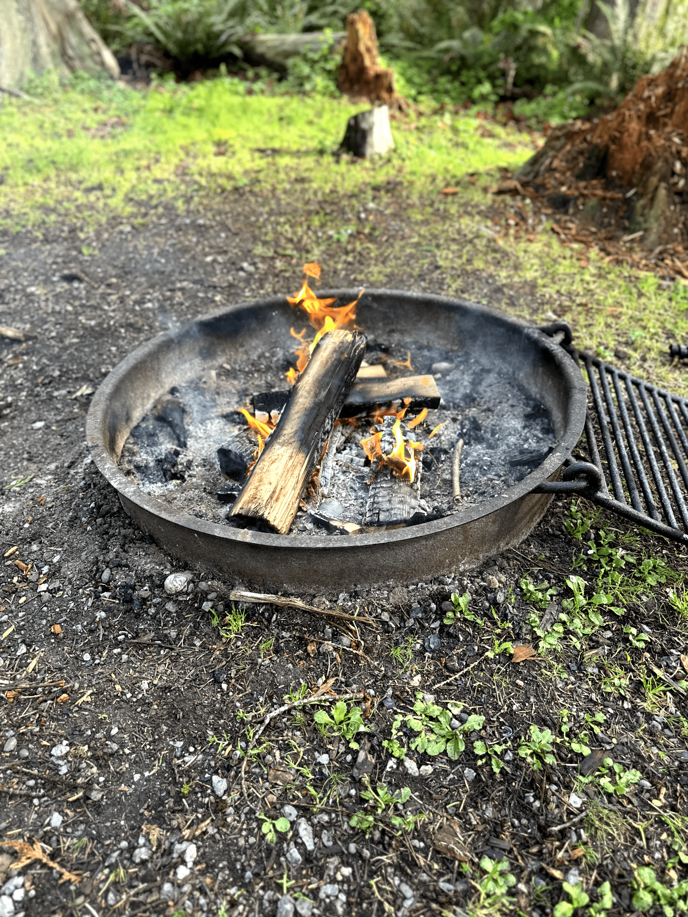 Rustic campfire scene in lush outdoor setting, perfect for cozy gatherings and cooking.