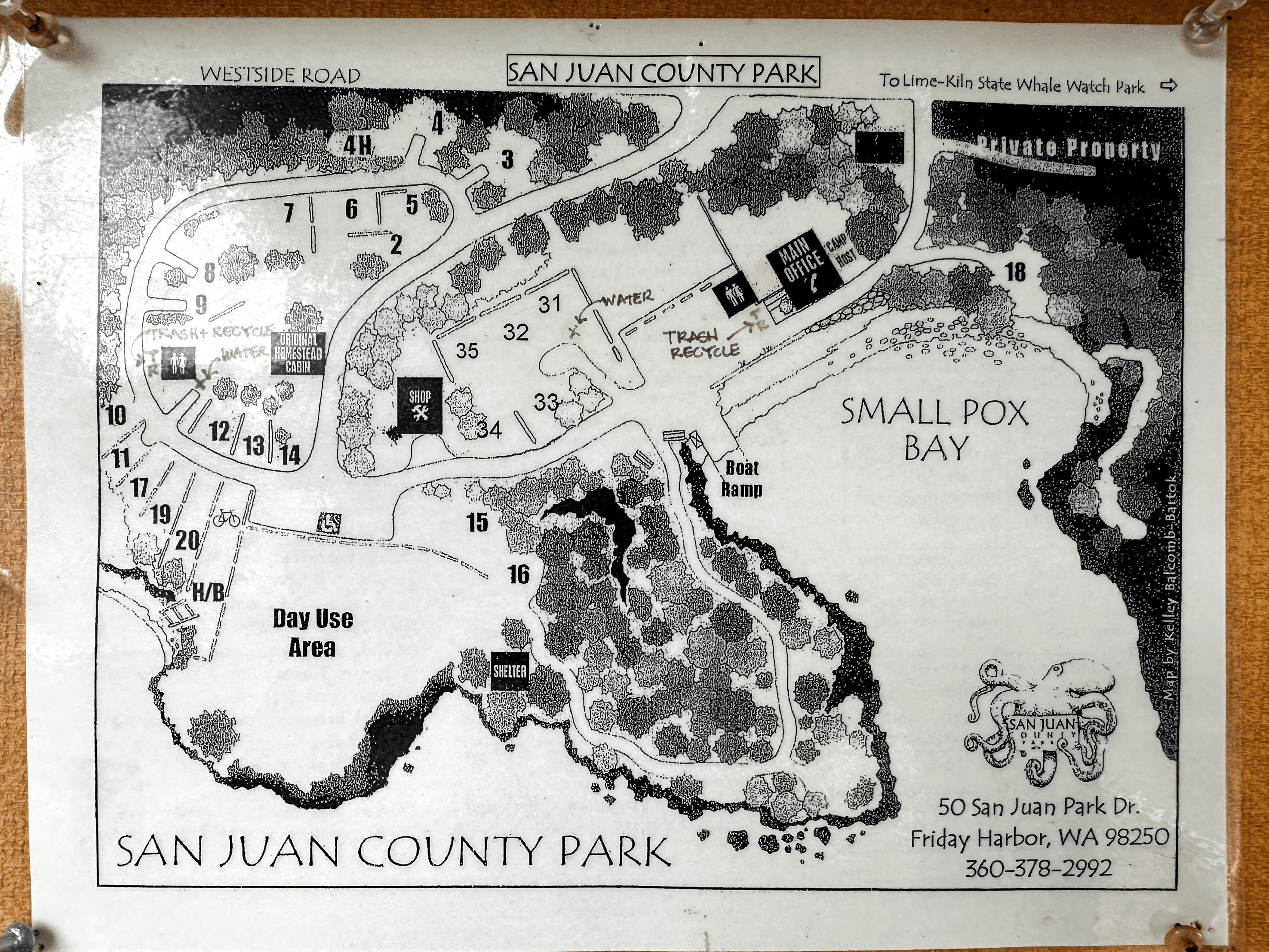 Detailed map of San Juan County Park with campsites, amenities, and natural features in Friday Harbor.