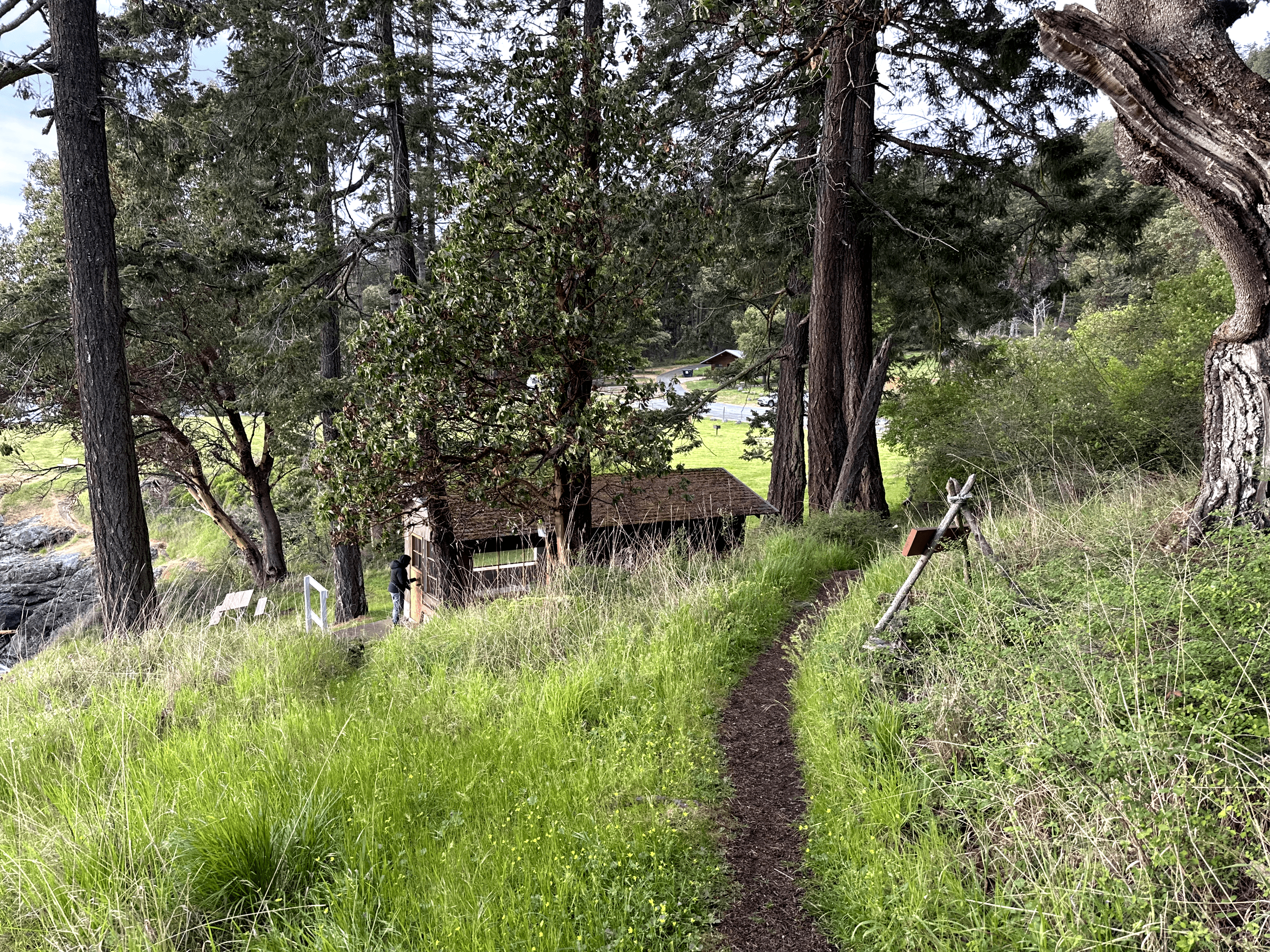 Tranquil woodland path with lush greenery and rustic structure peeking through the trees.