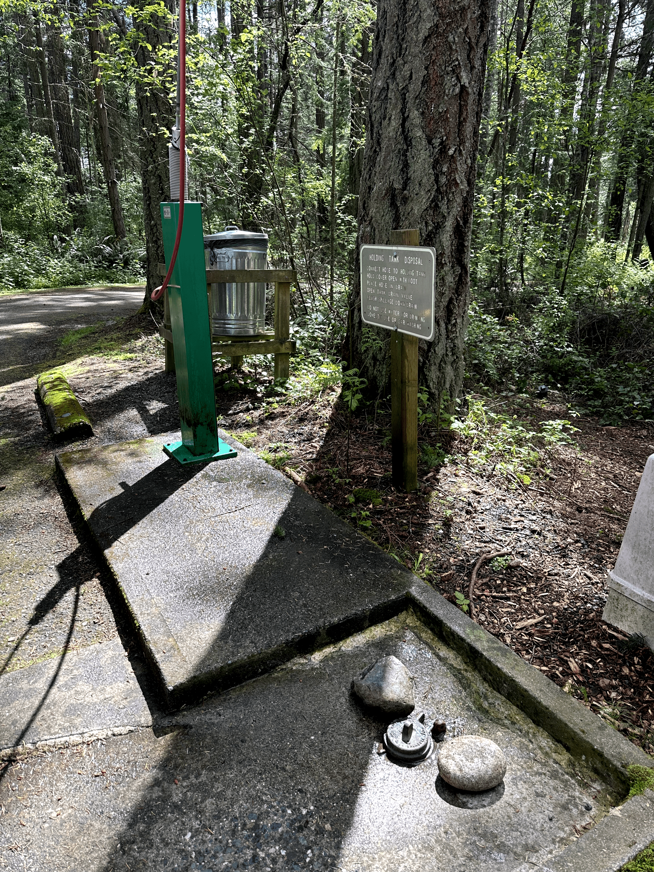 Tranquil forest setting with integrated water pump and natural amenities.