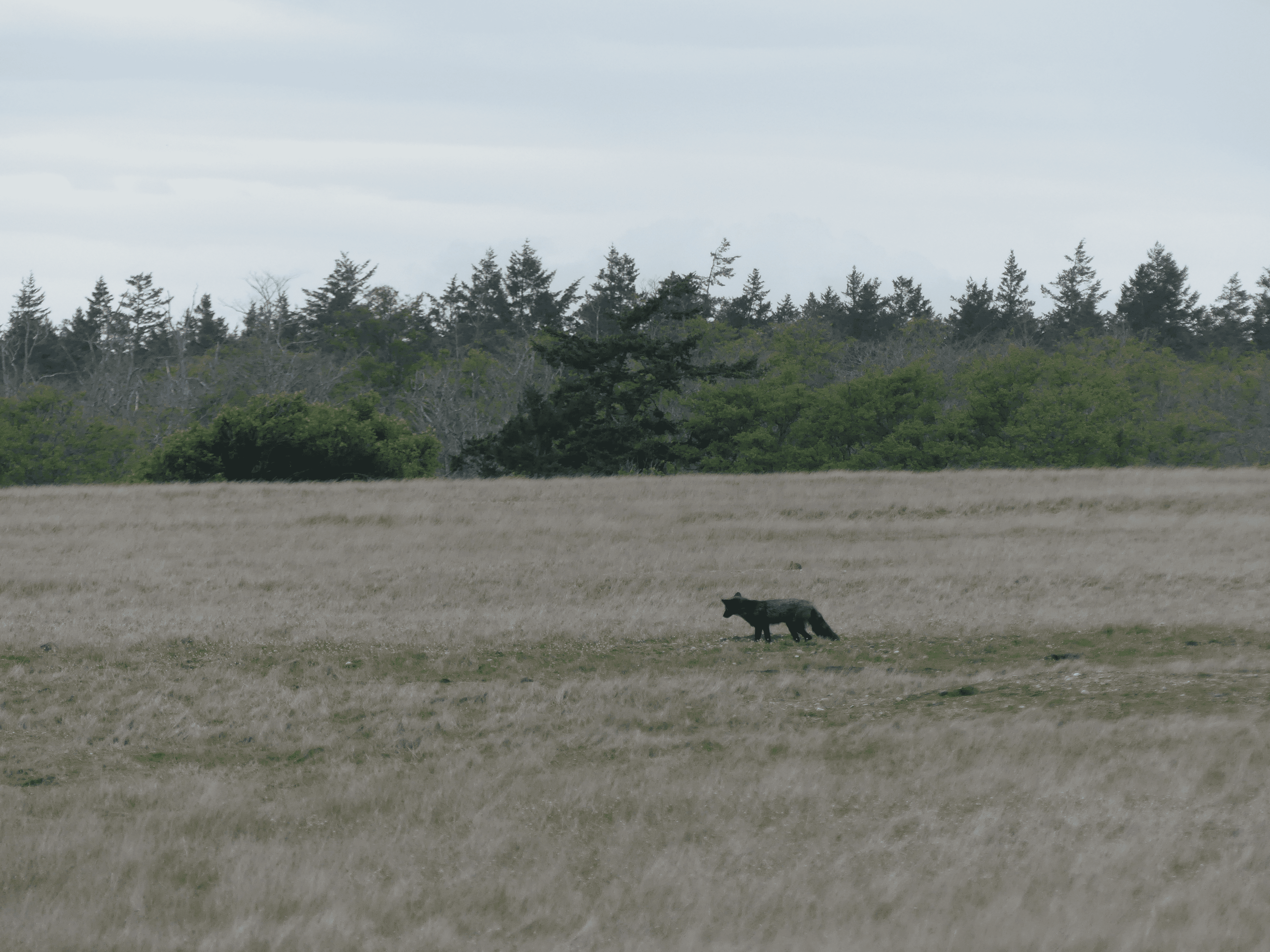 san juan county park campground