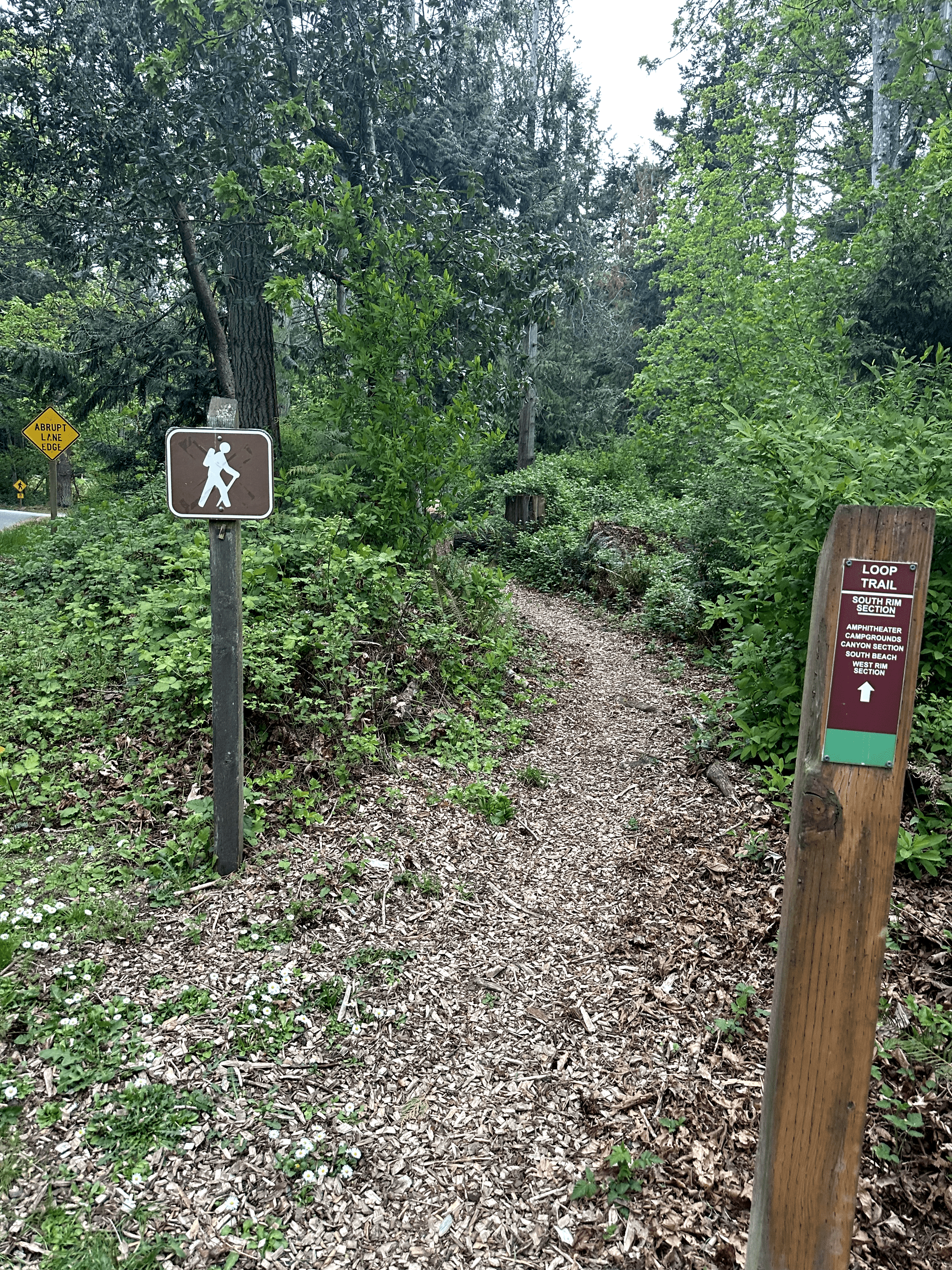 Tranquil wooded hiking trail with signage for pedestrian use and loop destinations.