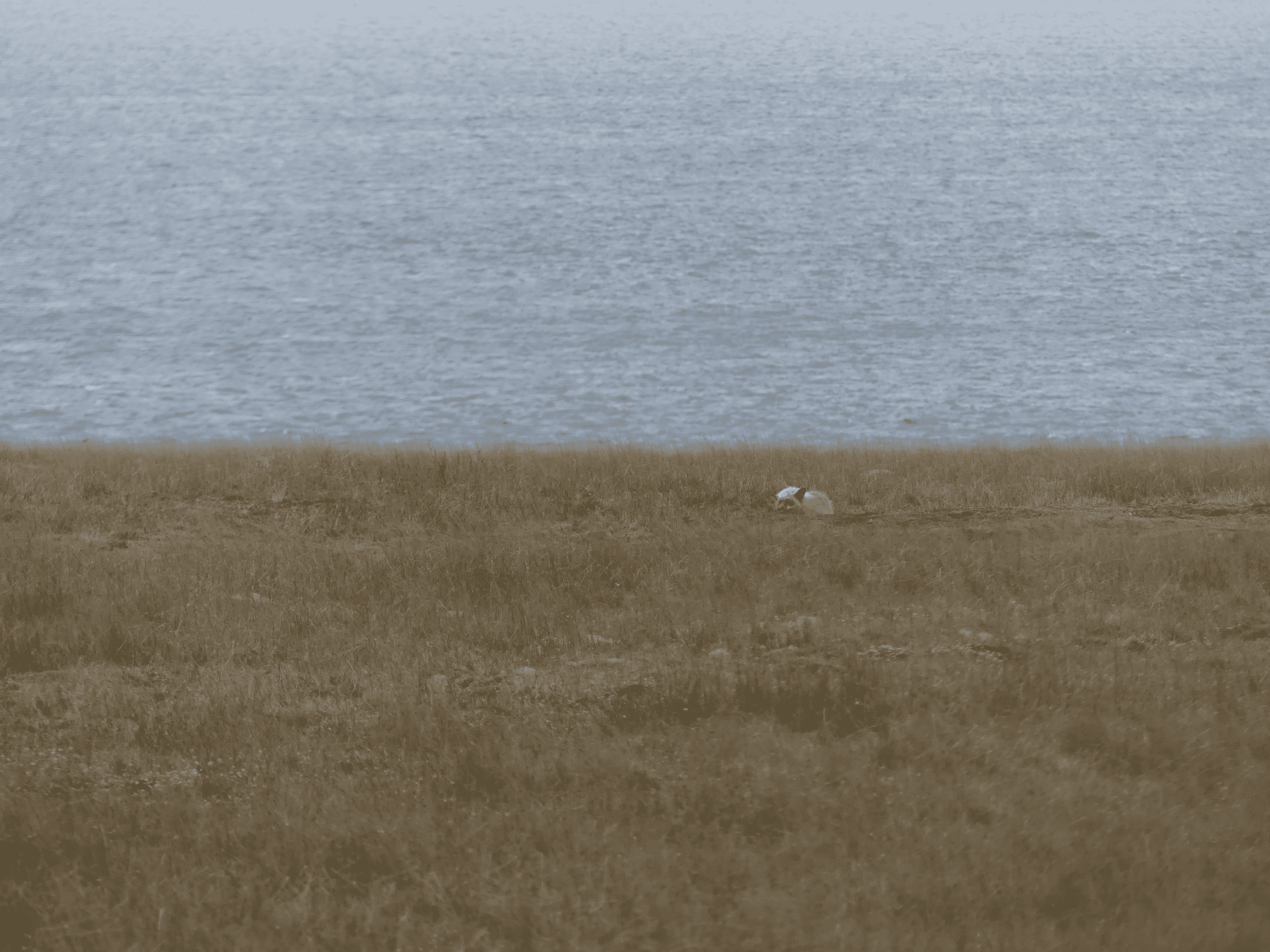 san juan county park campground