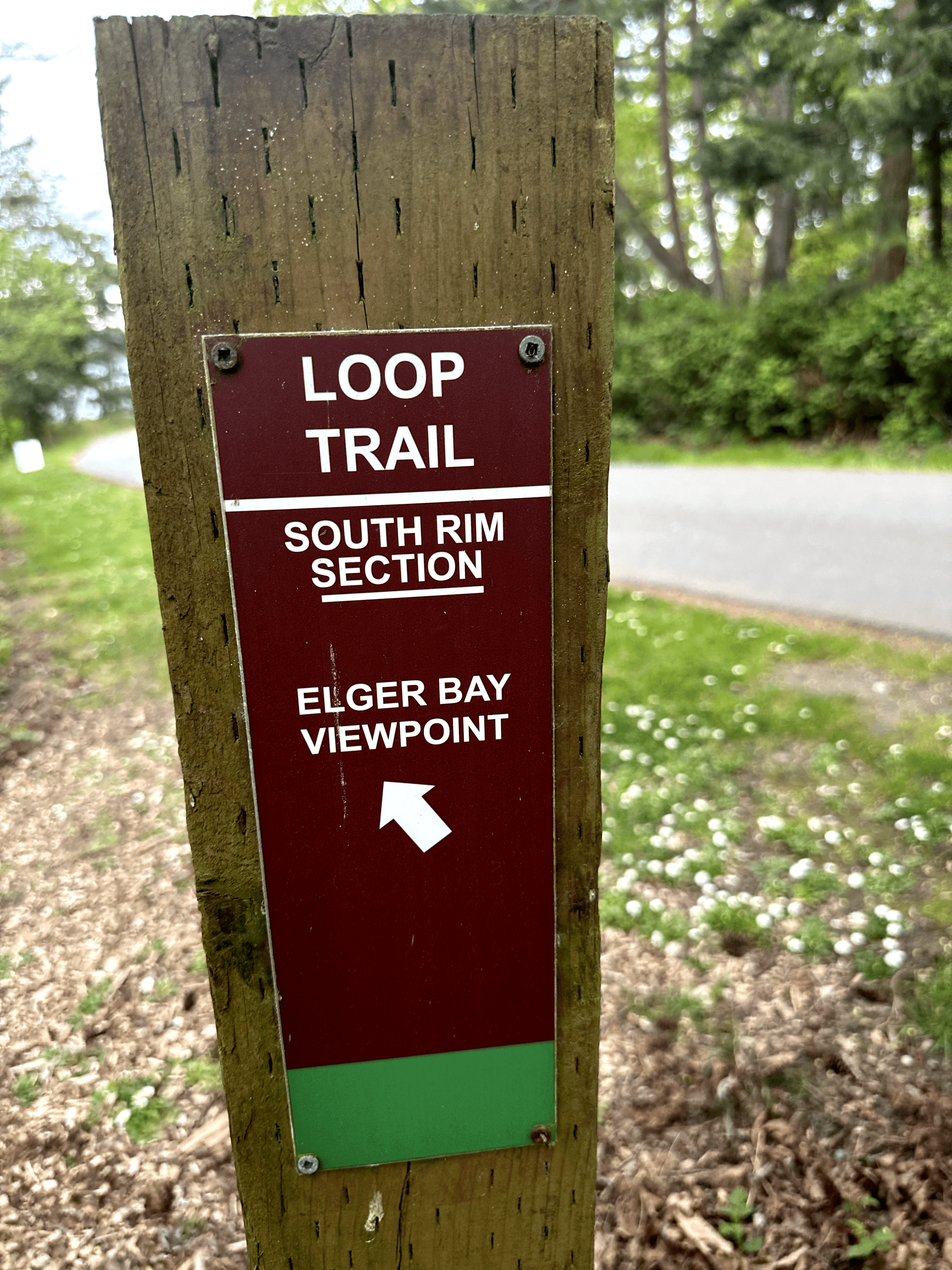 Weathered wooden trail sign with directional information on South Rim Loop Trail.