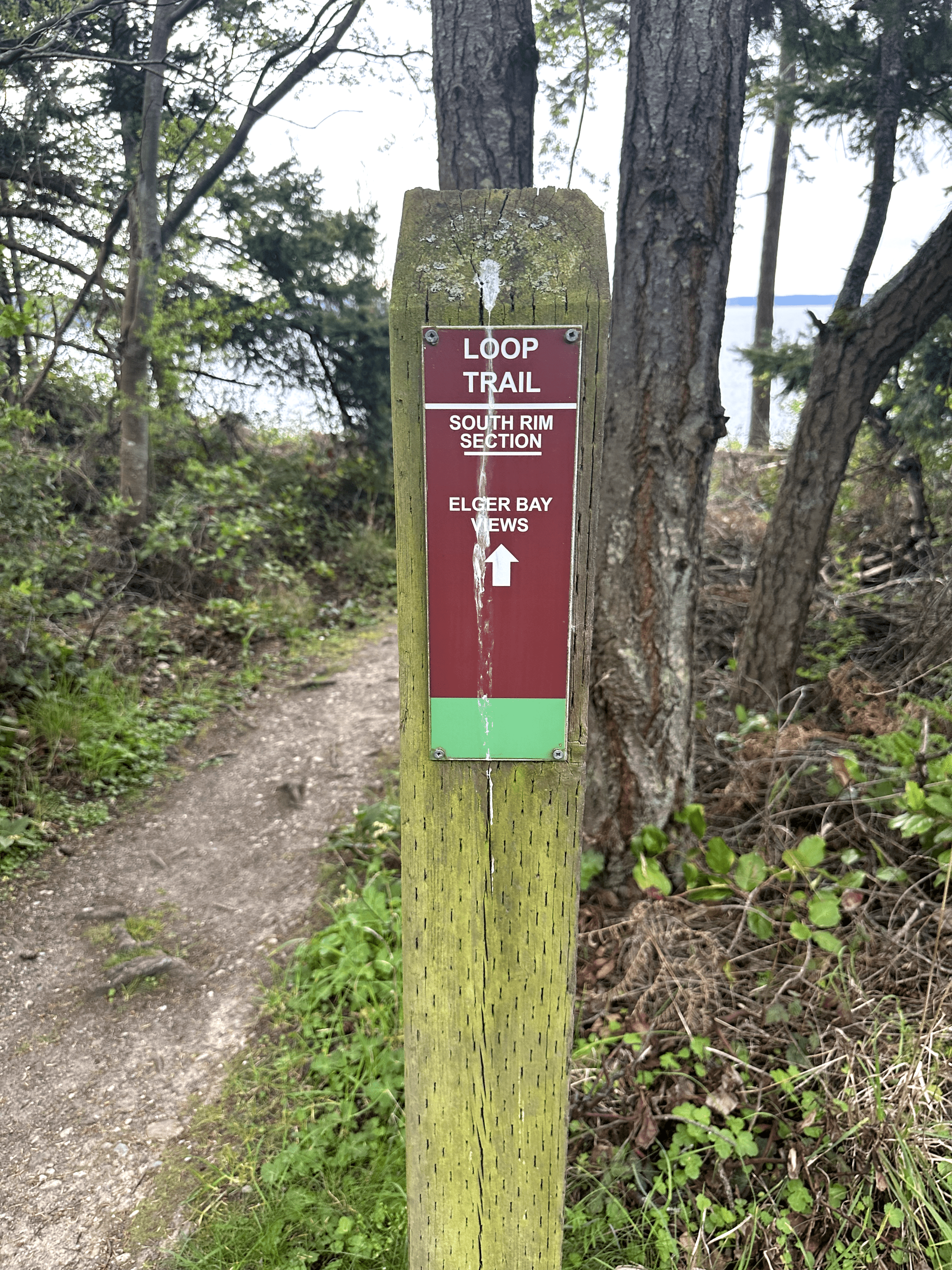 Trail marker in forest with sign pointing to Elger Bay Views.
