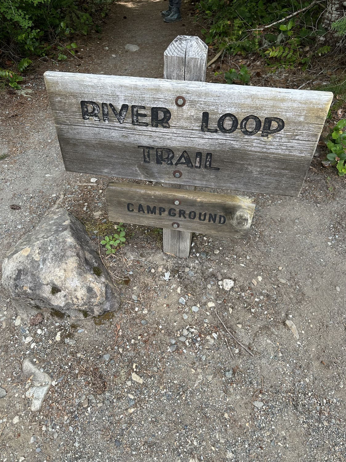 things to do in north cascades national park