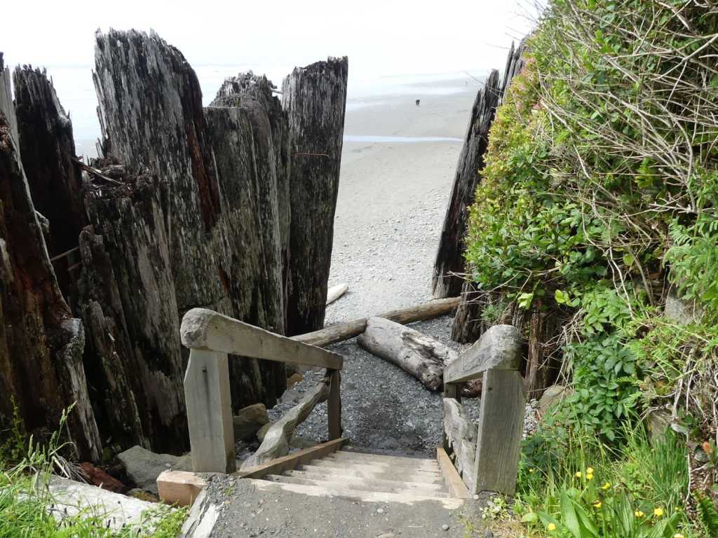 kalaloch campground