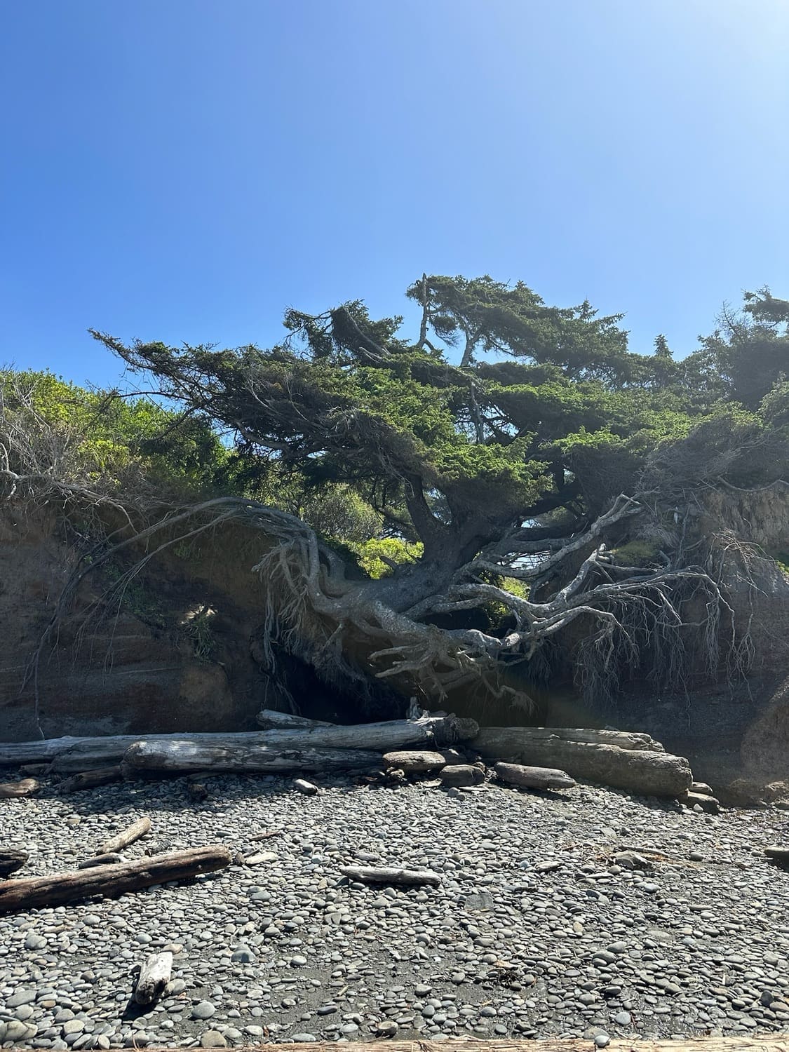 snowshoeing trails in washington