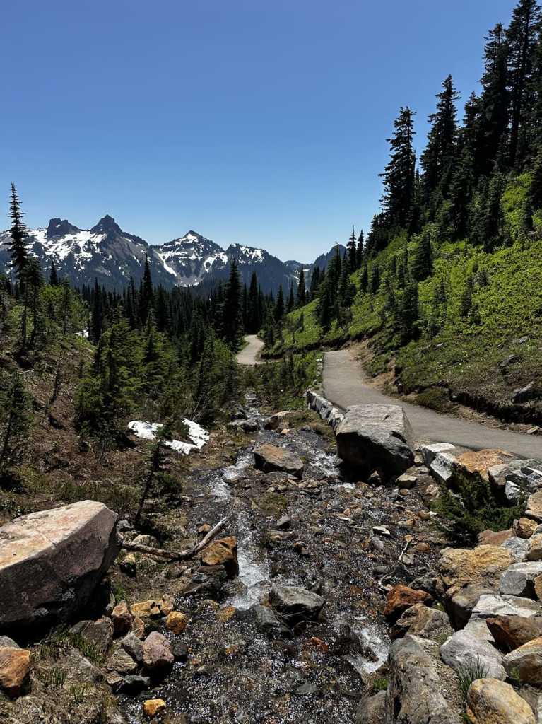 cougar rock campground