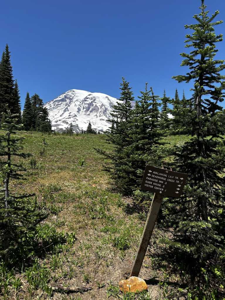 cougar rock campground
