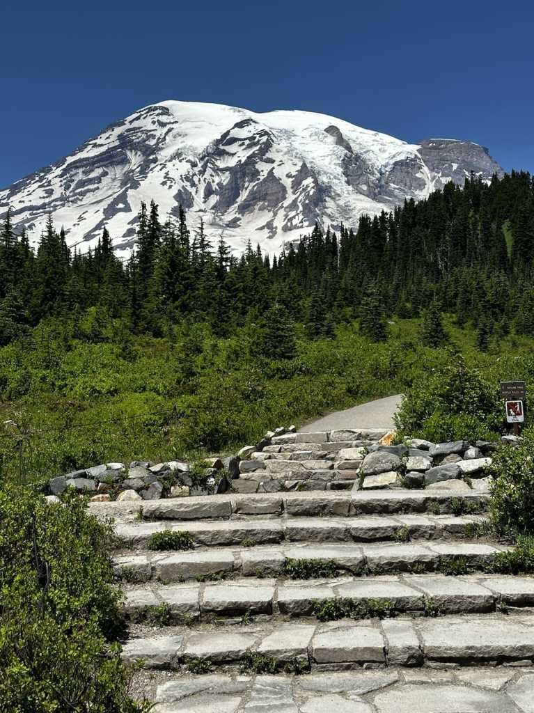 cougar rock campground