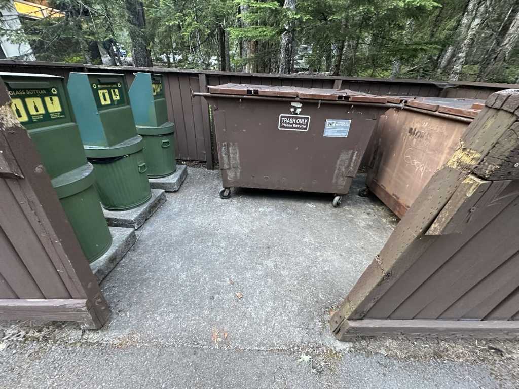 cougar rock campground