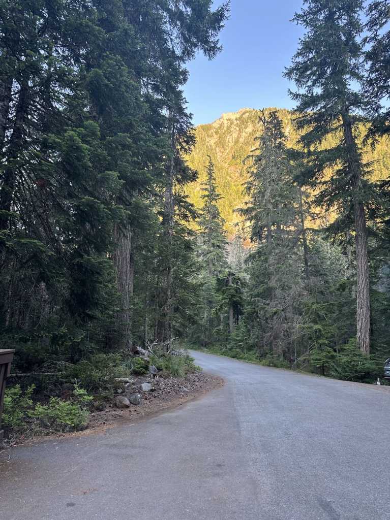 cougar rock campground