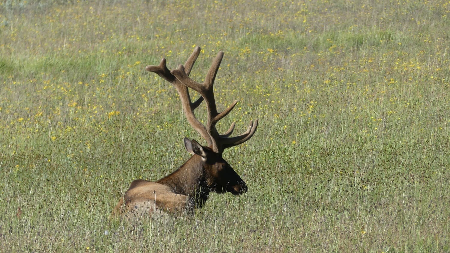 snowshoeing trails in washington