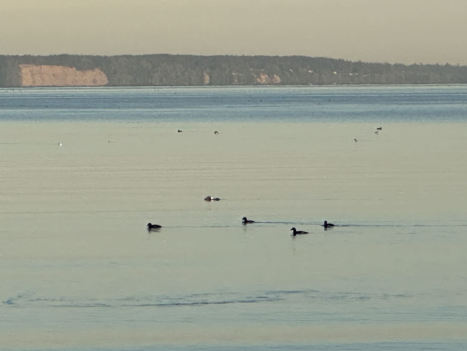 birch bay state park camping
